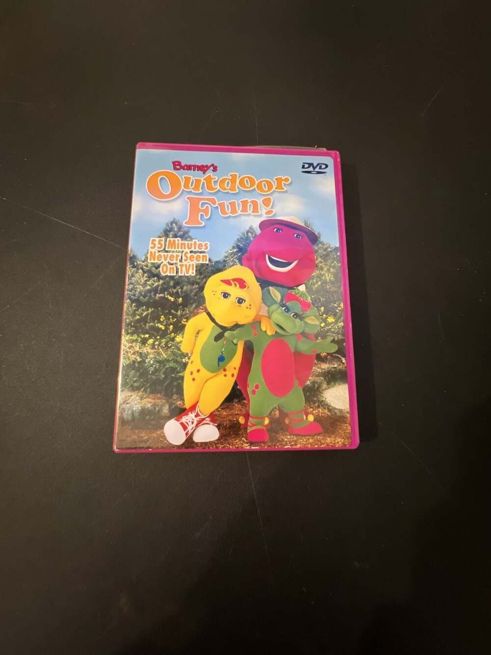 Barney's Outdoor Fun DVD 2003